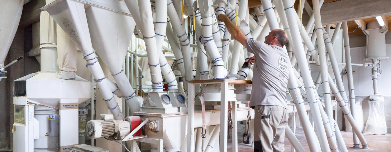 La peseuse de la Minoterie Francès