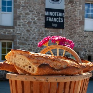 Les farines Pains Spéciaux > sans sel ajouté