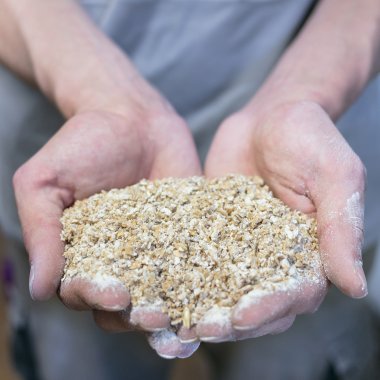 La garantie de nos blés de qualité
